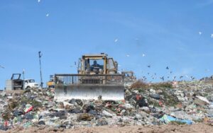 Lee más sobre el artículo Columna de Tinta Verde: la problemática de los residuos sólidos urbanos